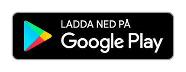 Google Store