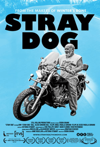 Stray Dog