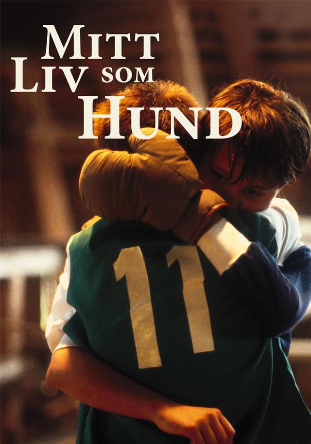 Mitt liv som hund